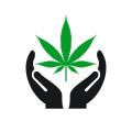 hand marijuana logo design marijuana logo with hand concept hand and marijuana logo design free vector